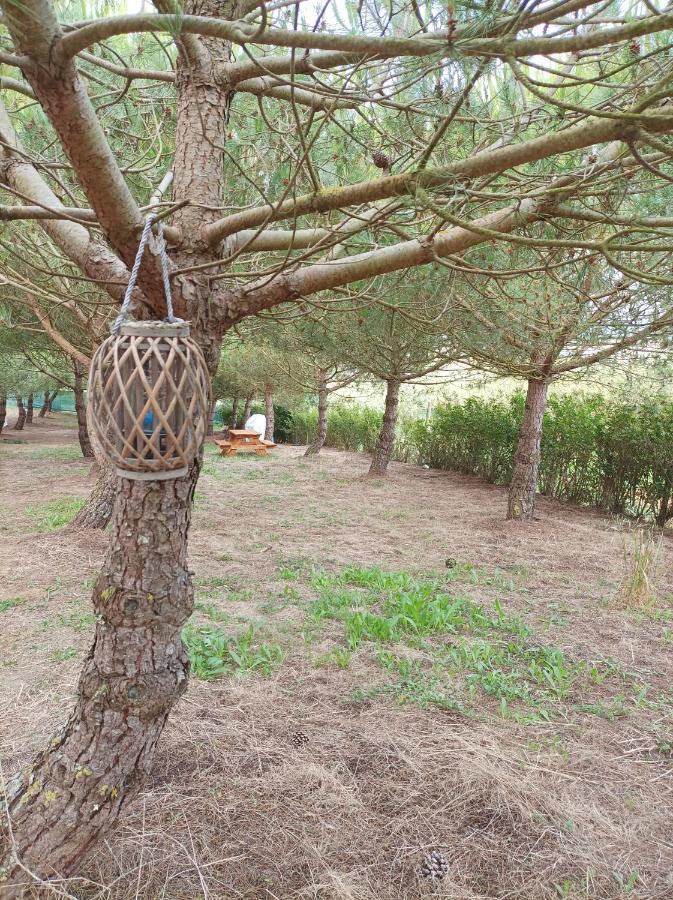Hotel Kabaceira Glamping à Atalaia  Chambre photo